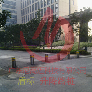 升降柱 福建安装自动升降柱 福建升降柱厂家批发 不锈钢电动车挡