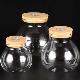 水培多肉植物玻璃带灯花瓶微景观生态瓶鱼缸器皿摆件斗鱼瓶