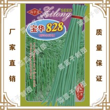 A828L  TN繫˾ֱطNֲ߲˷N