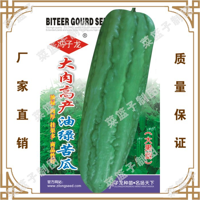 大肉高铲油绿苦瓜(大果型)  冯子龙种苗公司直售批零种植蔬菜种子
