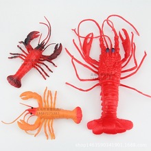 仿真动物海鲜模型塑料大小龙虾螃蟹橱柜超市摆设澳洲海洋玩具批发