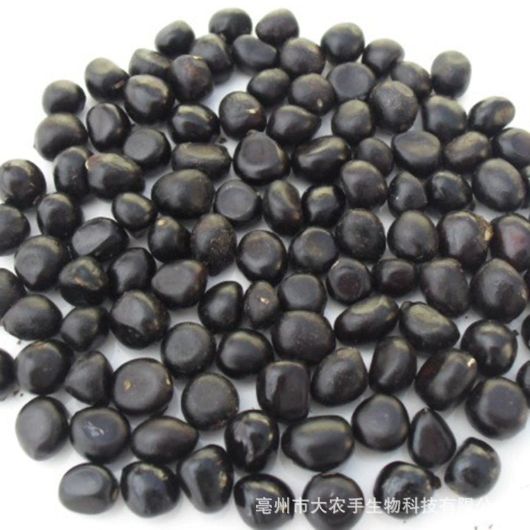 2021 цена семян пиона оптом масло семян пиона семена пиона