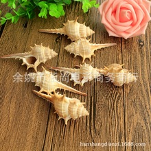 �Ĕz���� ��Ȼ���ݴ��ݴ�̖һ�� �ҾӔ[���b�Ʒ �������