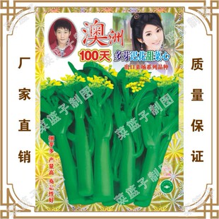 �߲˷N�� ���� ����100���ѿ�t�������   �����ﶬ�ļ��Nֲ