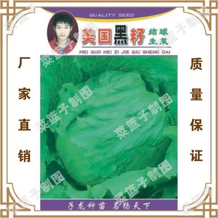 �T�����S��ֱ�����������ش����ļ��Nֲ  ���@���ѽY������