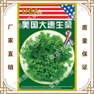 �T�����߲˷N�繫˾ֱ�����������زˈ@�����ļ� ������������