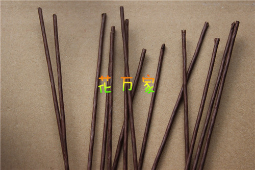 Brown paper wrapped flower stem, brown dried flower stem, dried fruit diy flower stem, paper wrapped wire