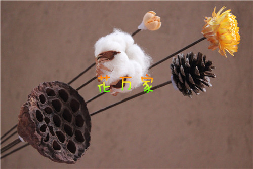 Brown paper wrapped flower stem, brown dried flower stem, dried fruit diy flower stem, paper wrapped wire