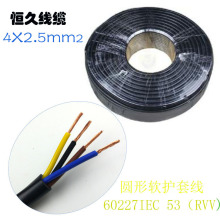  RVV4*2.5ƽ~оo׾ PVCAܛo׾