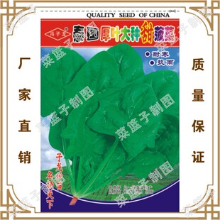 �T�����S��ֱ�����������ش����ļ��Nֲ  ̩�����~��N�𲤲�