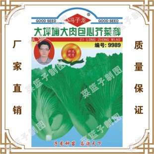 �T�����S��ֱ�����������ش����ļ��Nֲ  ��ƺ�Ҵ�����Ľ�˷N