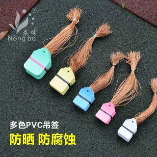 PVC彩色塑料植物吊签牌花卉园艺盆栽小挂牌苗木吊牌多肉标签牌