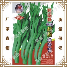 TNӘISֱ۴߲˷N ͢߼ͽ̦