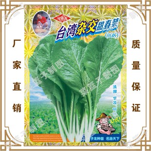 ̨���s���𴺲�(008) �T�����S��ֱ����������̨ͥԺ���Ի���