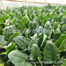 m˷Nǲ߲˷Nӈ@~~ͺԽ ԭb300