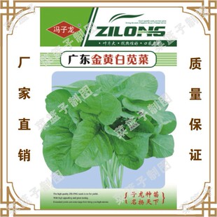 �߲˷N�ӏS���T�����N�јIֱ�����������ش��� �V�|���S���{��