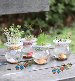 ˮ��ؓ�x�ӈ@ˇ��ͯ���愓��ֲ���辰��̼��Gֲ���^���޿ƽ̶YƷ