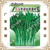 Zilong Seed Industry Taiwan Semi -Blue White Leeper Leaf Sevascular Vegetable Potted Plant Planting Greenhouse Planting Vegetables