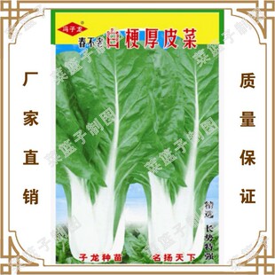 �T�����S��ֱ�����������ش����ļ��Nֲ   �����ϰ׹���Ƥ��