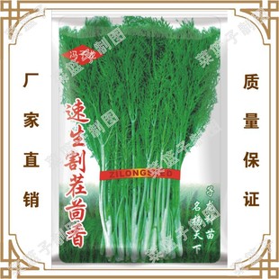 �T�����S��ֱ�����������ش����ļ��Nֲ  ��Ɓ�������