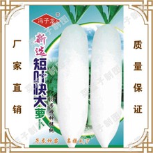 TN繫˾ֱطNֲ߲˷N  x~̫}