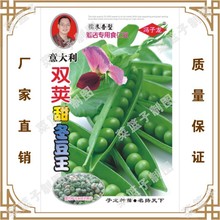 �T�����N�繫˾ֱ�����������طNֲ�߲�   ������p�v�𶬶���