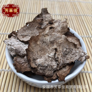 ���l��ș������Ƥ ��Ƥ ����ă�