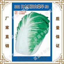 �߲˷N�ӏS��ֱ��������������زˈ@�̨ 302�ձ���ꖰײ���50