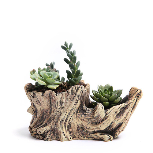 Factory direct supply creative cement succulent flowerpots old root carving succulent flowerpots ecological tree stump flowerpots wholesale