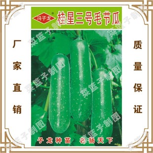 �T�����N�繫˾ֱ�����������طNֲ�߲˷N��  ������̖ë����