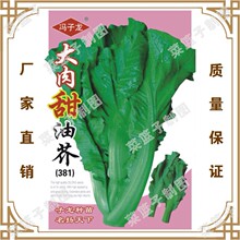 ͽ(381)   TSֱشļNֲ