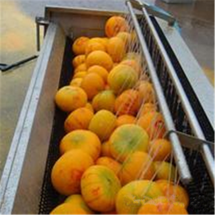 高产量鲜土豆加工设备 全自动土豆清洗去皮机