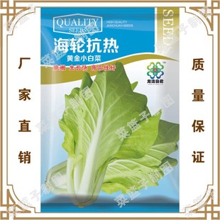 �߲˷N���T�����S��ֱ�������ļ��������ֲ �����Ο��S��С�ײ�