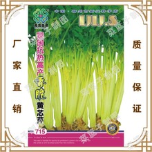 蔬菜种子冯子龙公司直售批零蔬菜种子 泰园奈热高铲香脆黄芯芹715
