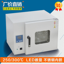 推薦小型鼓風烘箱 高溫干燥箱 電熱恆溫鼓風干燥箱 高溫烘箱