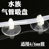 Аквариум -аквариум аквариум. Фиксированный трахерский соломенный цилиндр углекислый газ