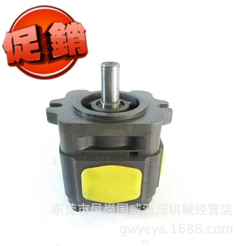 代理BIG5080内啮合齿轮泵HESAPP高压齿轮泵 液压泵 齿轮泵厂家