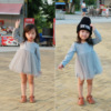 Demi-season dress, children's small princess costume, children's clothing, long sleeve, mesh skirt