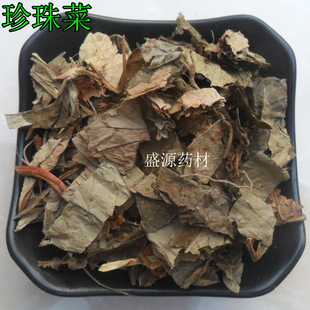 ��ș�� ����� �׻��� ����� ��β����� ���_�� ���_�� ������