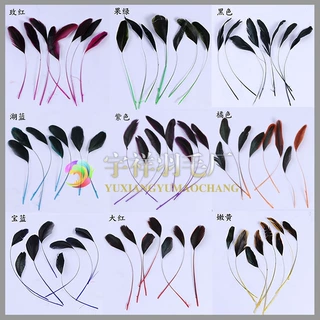 厂家直销大量供应优质15-20cm彩色公鸡羽毛 染色撕黑尾羽毛批发