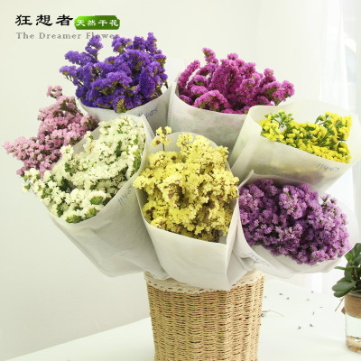 Forget me not Dried flowers 8 colors Chimera Sen family natural Dried flowers Home Furnishing decorate Forget me not wholesale