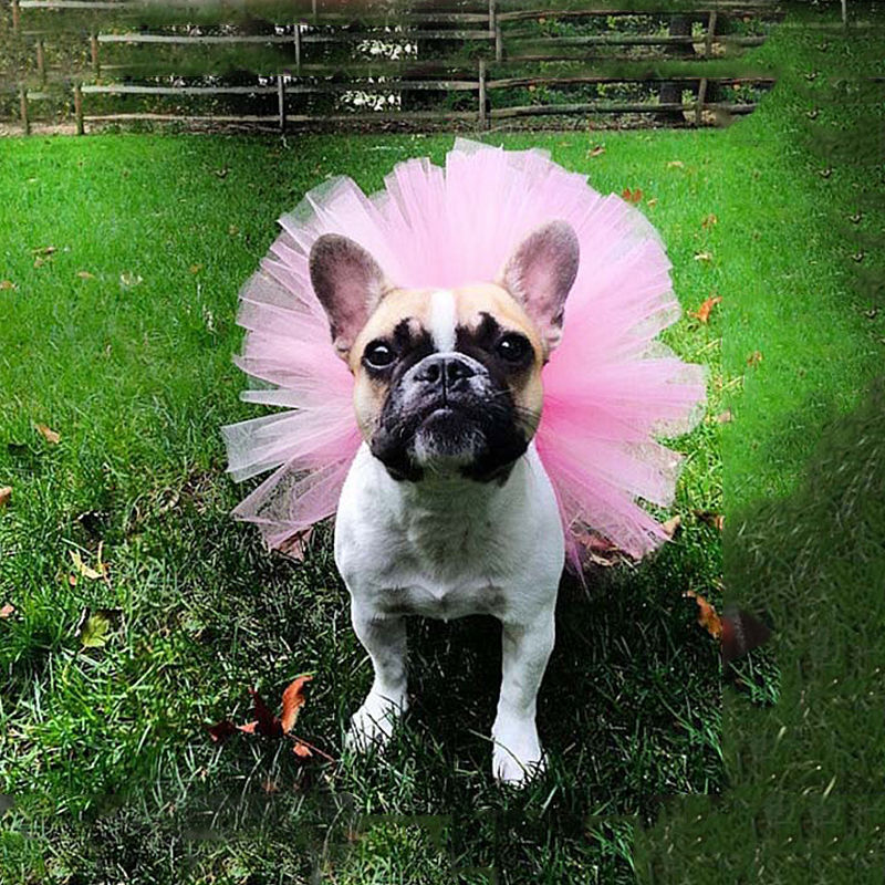 Europa y América vacaciones mascota malla Tutu falda Cosplay vestido falda ropa para mascotas falda
