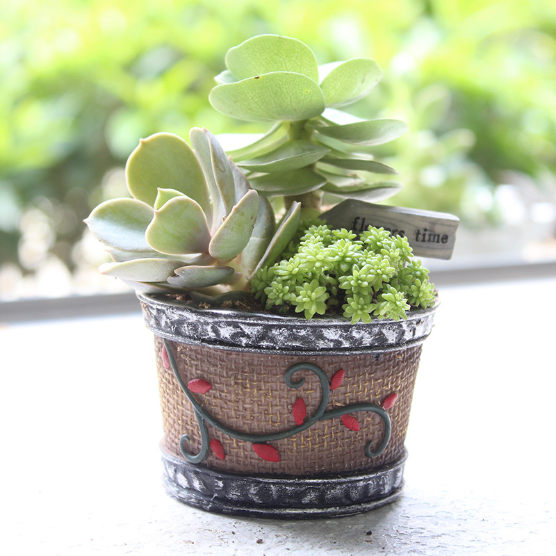 Chậu Cây Resin Chậu cây mọng nước mini resin phong cách hoạt hình, chậu để bàn văn phòng, trang trí tiểu cảnh (RG-91)