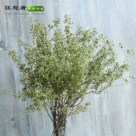 鲜花花艺制品;干花;仿真绿植