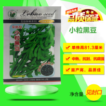 专用黄豆绿豆小粒黑豆芽苗菜种籽豆苗发豆芽豆芽菜种子水培蔬菜孑