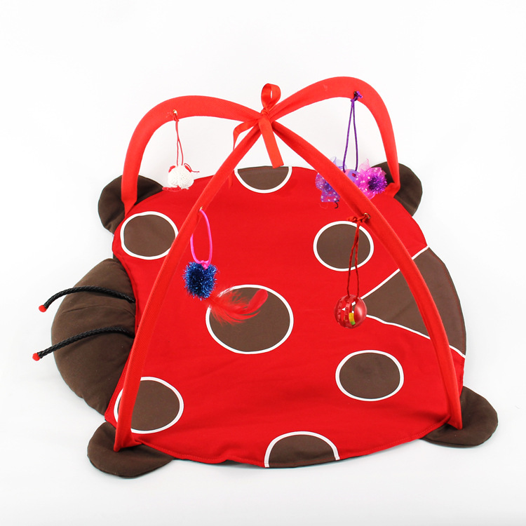 Simple packaging of seven -star ladybug