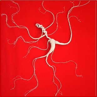 ���l���zһ��Ұɽ���Y����������Ұɽ���L��ɽ20�������˅��Y��