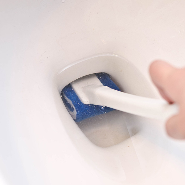 Disposable toilet for home use
