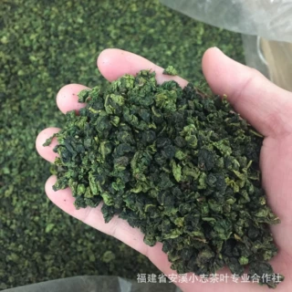 批发2026年安溪铁观音秋茶散装闽南乌龙茶叶源头厂家供应跨境