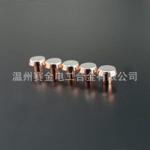 温州赛金厂家直销电动开关银触点电触头微动开关可混批来样
